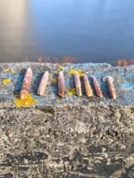 Rare Arak Al Sawahil Porcupine Ring – Spiritual Coastal Artifact - Image 2